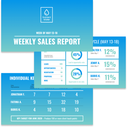 Sales report template